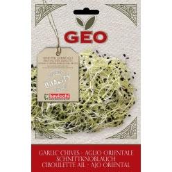 Germeni - Seminte de usturoi ECO  6 g - Geo