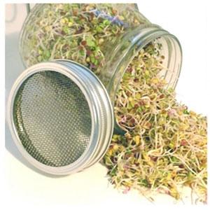 Germinator - Sprouting Jar 1 buc Geo - Geo