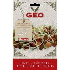 Germeni - Seminte de linte ECO  90 g - Geo