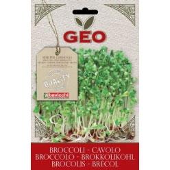 Germeni - Seminte de broccoli ECO 13 g - Geo