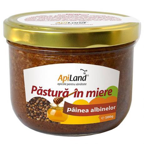 Pastura in miere 500 g - Apiland