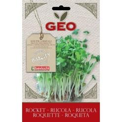 Germeni - Seminte de rucola ECO  30 g - Geo