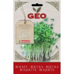 Germeni - Seminte de rucola ECO  30 g